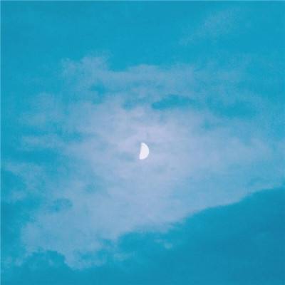 乐鱼app登录入口下载手机版截图