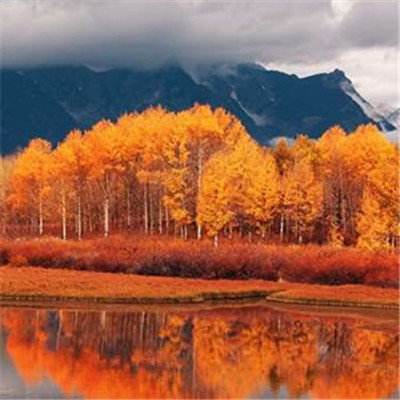 牛牛游戏网app下载