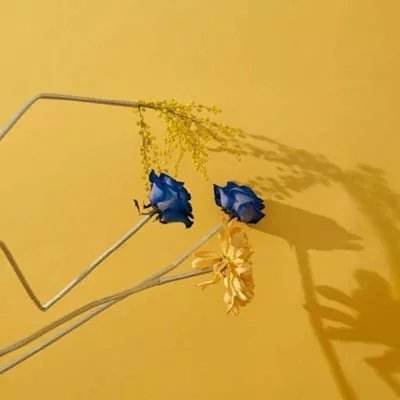 乐鱼app登录入口下载手机版截图